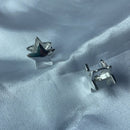 Brinco Argola Estrela Liso