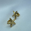 Brinco de estrela do mar