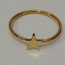 ANEL ESTRELA Nº: 23
