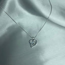 Colar Coração Orgânico